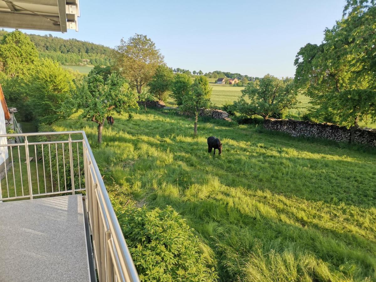 Ferienwohnung Meyer Weißenburg in Bayern Екстериор снимка